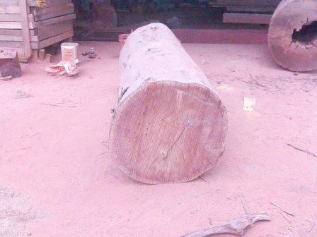 wood log single.jpg