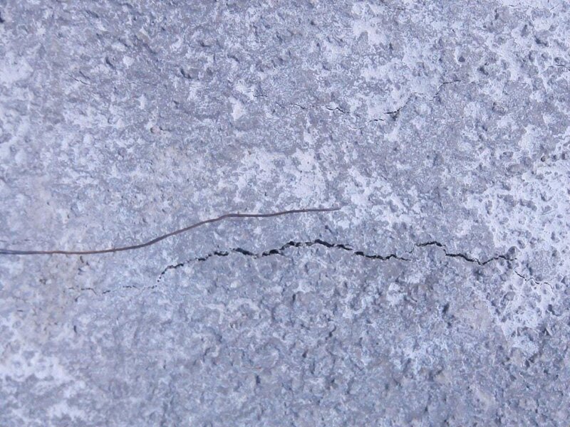 Shrinkage cracks in concrete.jpg