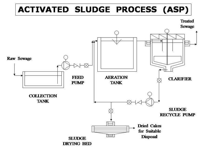 Slide11.JPG