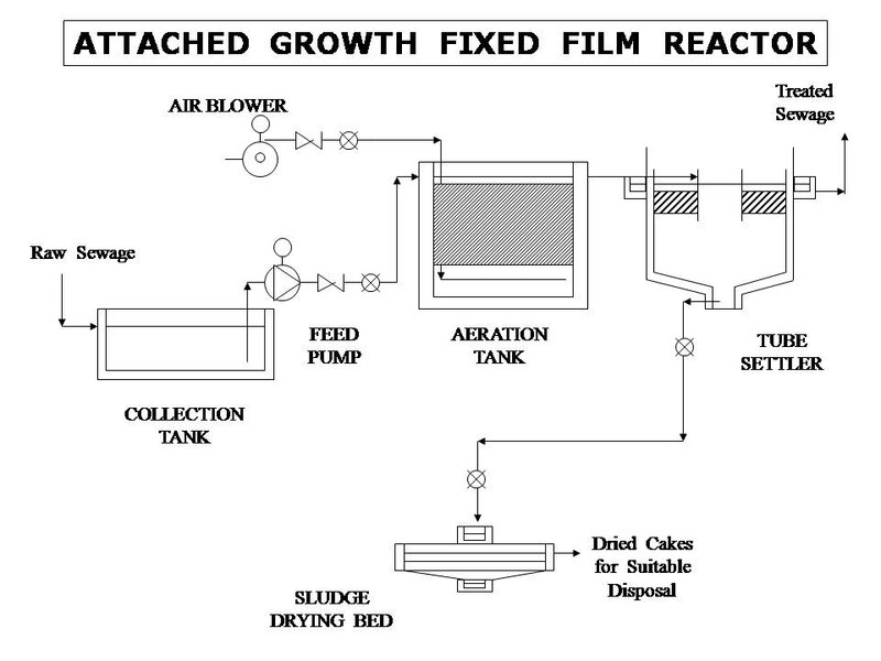 Slide14.JPG