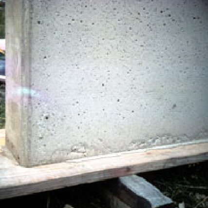 bug holes concrete defect1.png