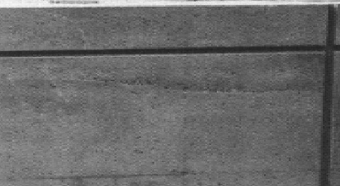 cold joints concrete defect.png
