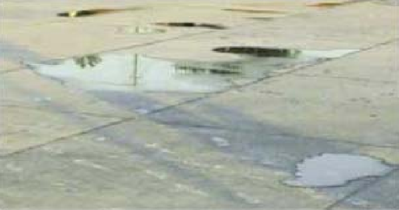 Bird Bath concrete defect.png
