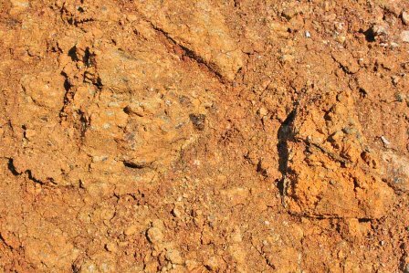 laterite.jpg