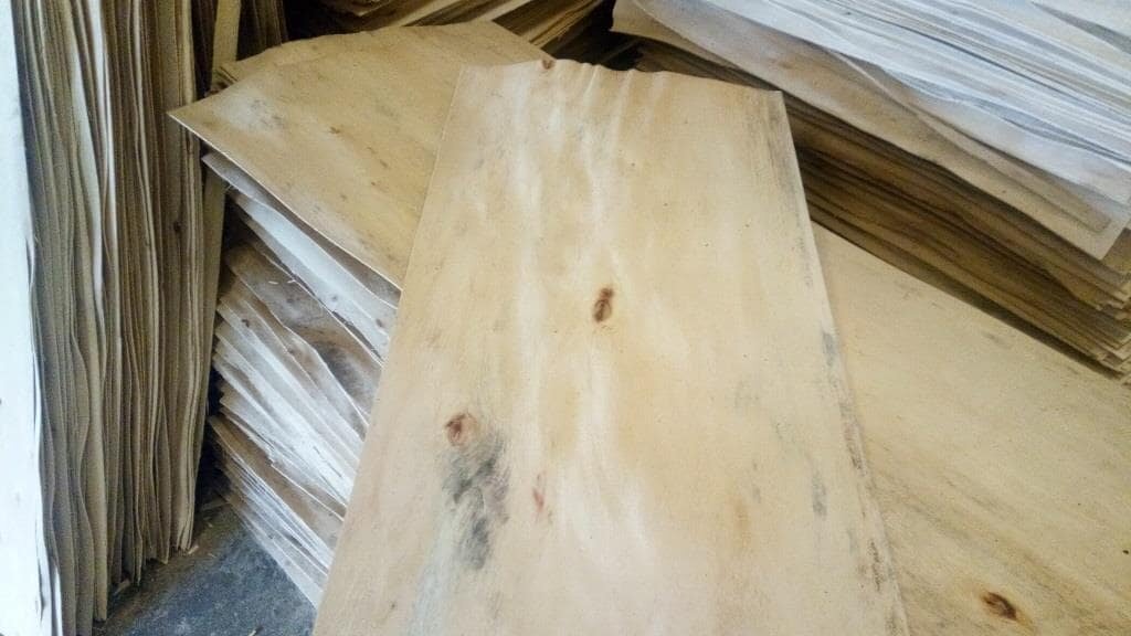 Poplar.jpg