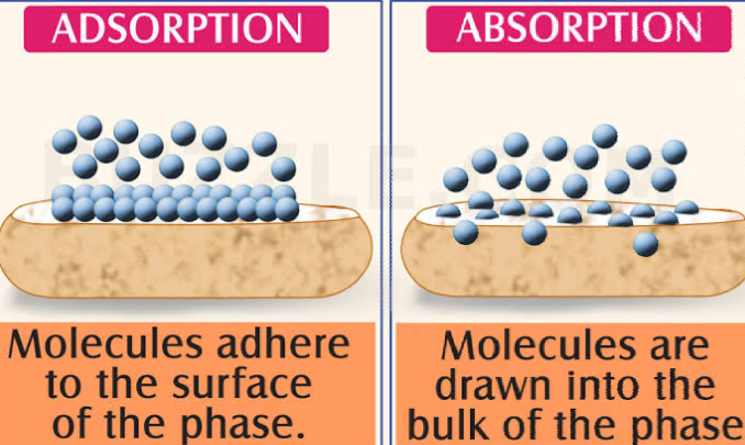 What Is Difference Between Absorption And Adsorption | Civil4M