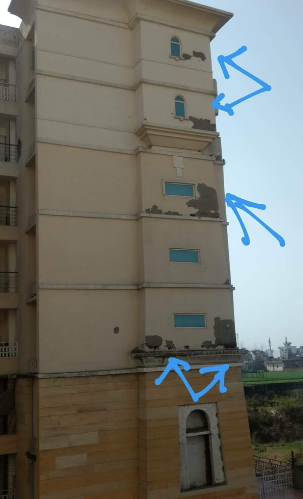 Plaster Defect.jpg