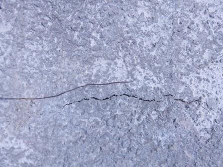 Shrinkage cracks.jpg