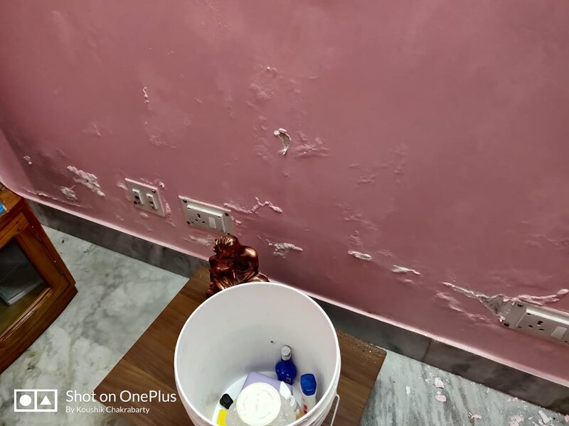 Efflorescence on wall.jpg