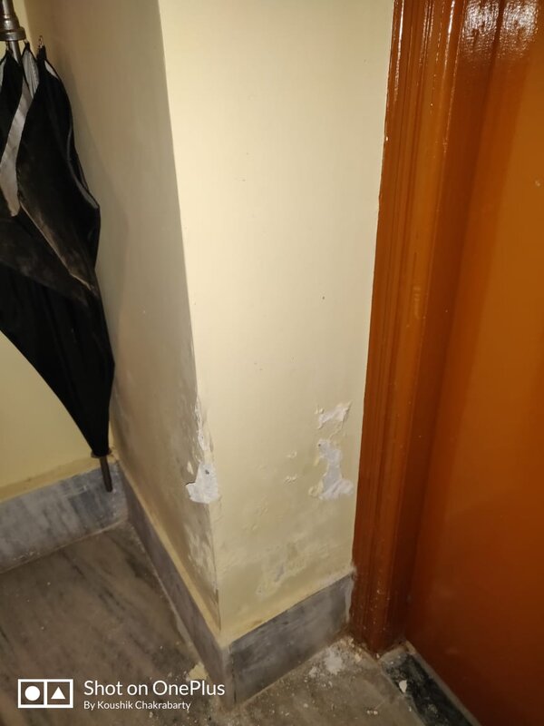 Efflorescence on wall2.jpg