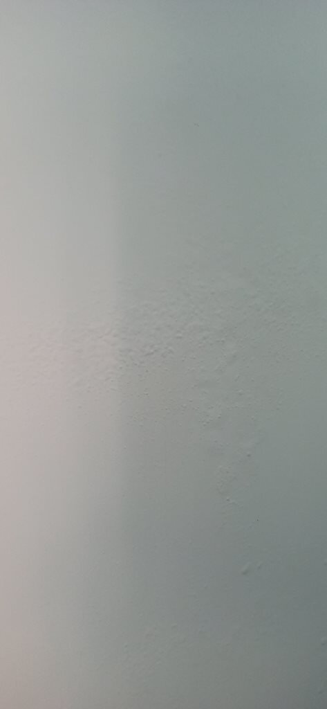 IMG_20201114_154445.jpg