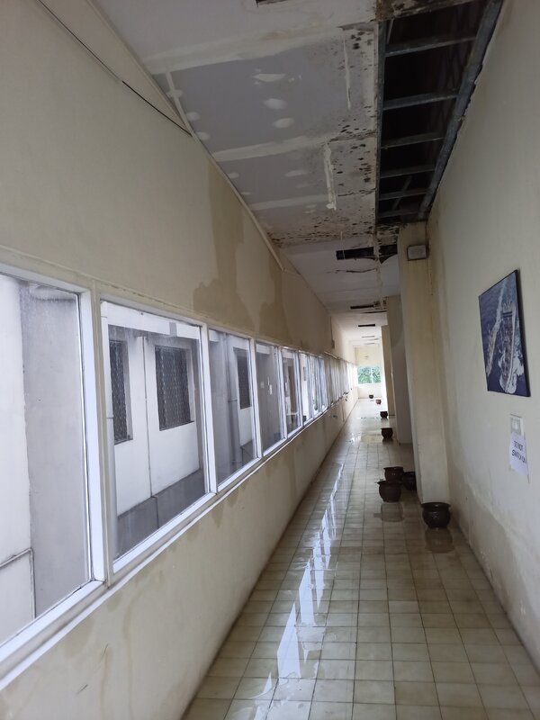 IMG20201127140431.jpg