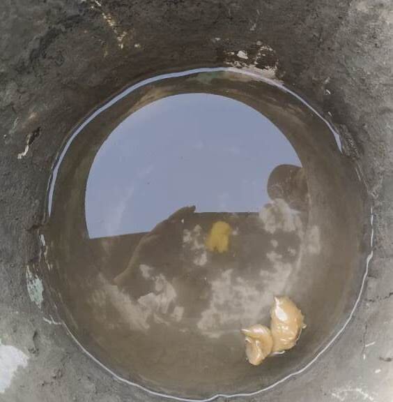 Grease density test.jpg
