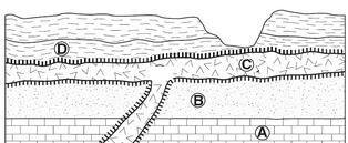 Igneous Intrusions.jpg